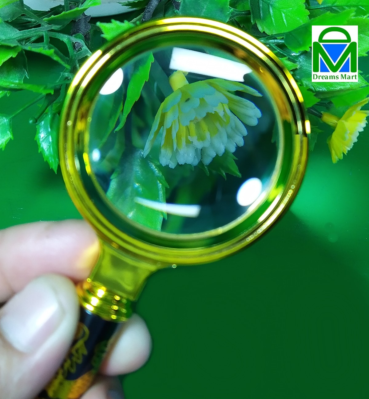 {“capture_mode”:”AutoModule”,”faces”:[]}